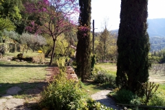 Blick von Terrasse nach links