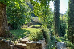 Blick-von-der-Terrasse-in-den-Garten