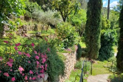 Blick-von-der-Terrasse-in-den-Garten_2