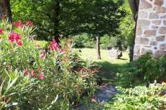 Im Garten links des Hauses
