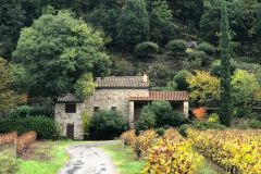 Zufahrt zum Ferienhaus in der Ardèche